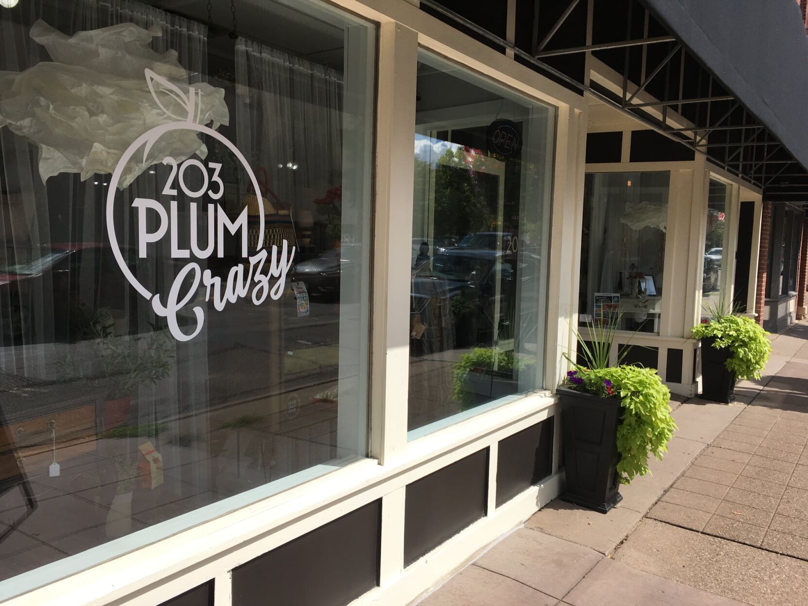 Plum Crazy
